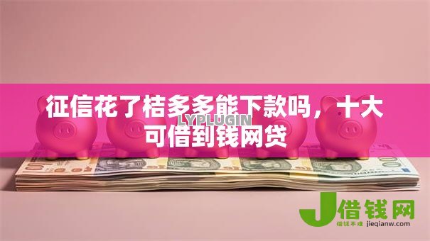 征信花了桔多多能下款吗，十大可借到钱网贷