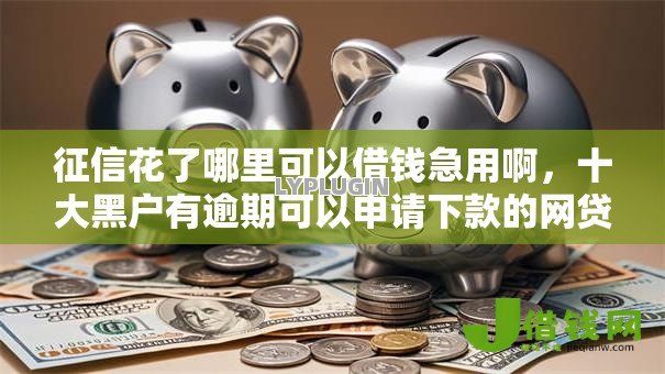 征信花了哪里可以借钱急用啊，十大黑户有逾期可以申请下款的网贷口子