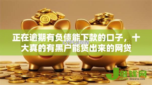 正在逾期有负债能下款的口子，十大真的有黑户能贷出来的网贷
