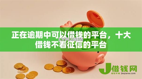 正在逾期中可以借钱的平台，十大借钱不看征信的平台