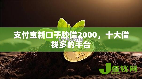 支付宝新口子秒借2000，十大借钱多的平台