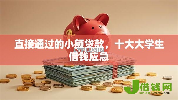 直接通过的小额贷款，十大大学生借钱应急