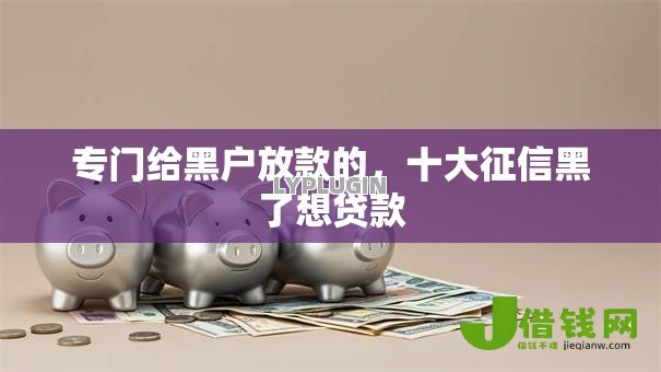 专门给黑户放款的，十大征信黑了想贷款
