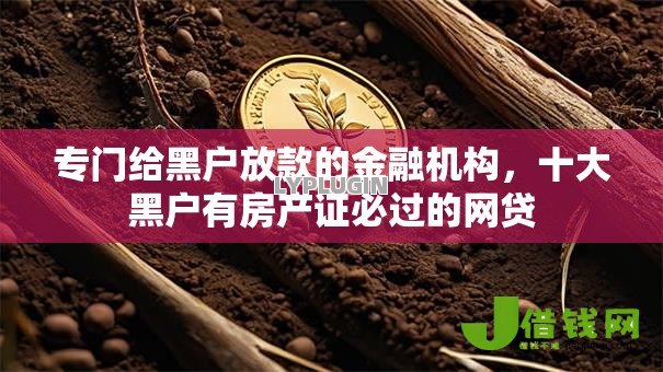 专门给黑户放款的金融机构，十大黑户有房产证必过的网贷