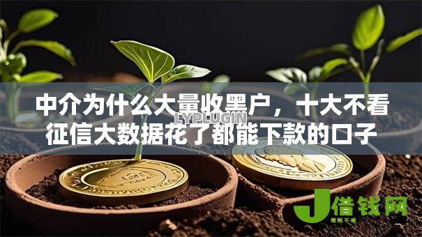 中介为什么大量收黑户，十大不看征信大数据花了都能下款的口子