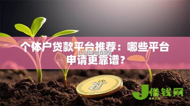 个体户贷款平台推荐：哪些平台申请更靠谱？