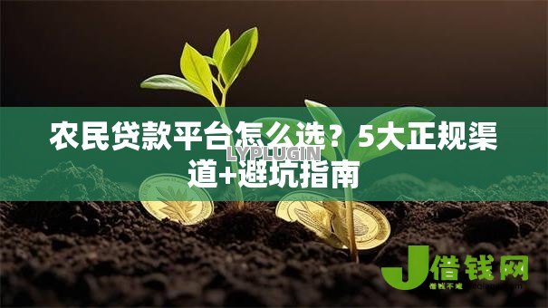 农民贷款平台怎么选？5大正规渠道+避坑指南