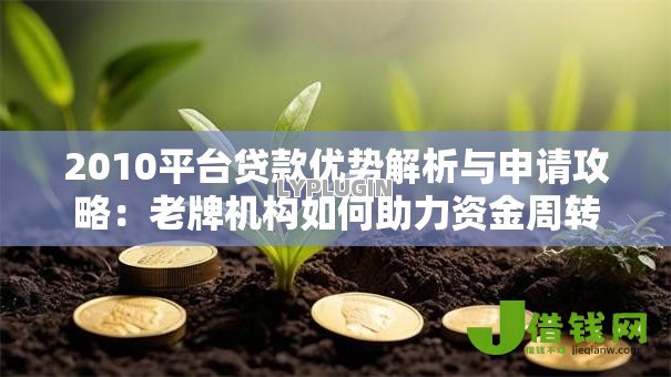 2010平台贷款优势解析与申请攻略：老牌机构如何助力资金周转