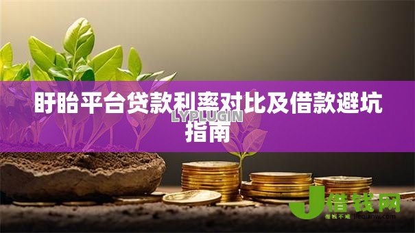盱眙平台贷款利率对比及借款避坑指南