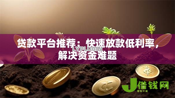 贷款平台推荐：快速放款低利率，解决资金难题