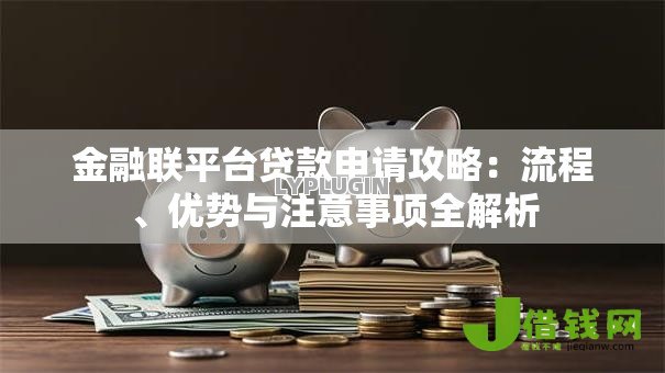 金融联平台贷款申请攻略:流程、优势与注意事项全解析 金融联平台贷款申请攻略:流程、优势与注意事项全解析