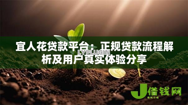 宜人花贷款平台：正规贷款流程解析及用户真实体验分享