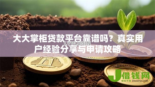 大大掌柜贷款平台靠谱吗？真实用户经验分享与申请攻略
