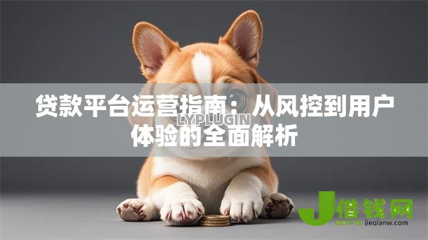 贷款平台运营指南：从风控到用户体验的全面解析