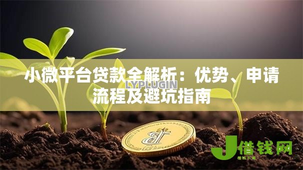 小微平台贷款全解析：优势、申请流程及避坑指南