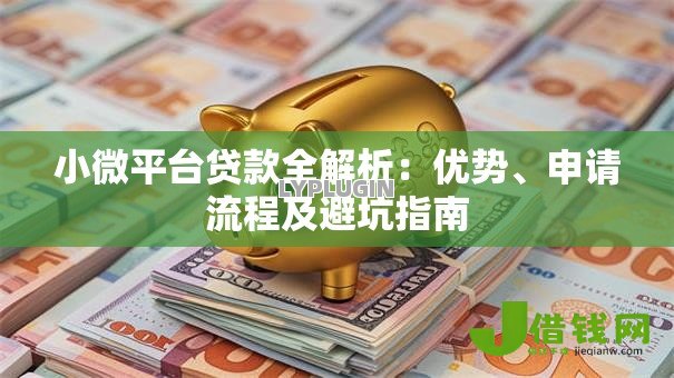 小微平台贷款全解析：优势、申请流程及避坑指南