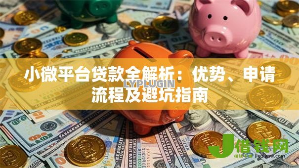 小微平台贷款全解析：优势、申请流程及避坑指南