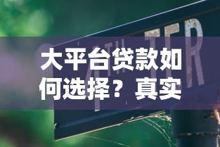 大平台贷款如何选择？真实测评与避坑指南