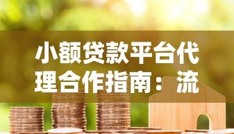 小额贷款平台代理合作指南:流程、选择与风险规避 小额贷款平台代理合作指南:流程、选择与风险规避