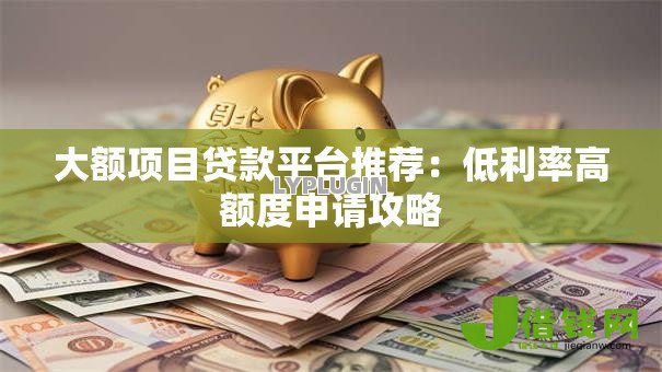 大额项目贷款平台推荐：低利率高额度申请攻略