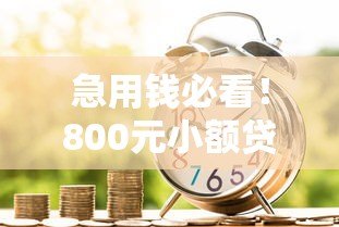 急用钱必看!800元小额贷款平台真实测评及申请攻略 急用钱必看!800元小额贷款平台真实测评及申请攻略