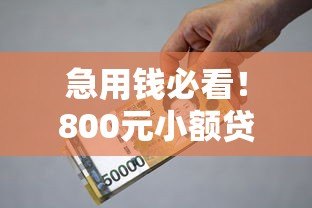急用钱必看!800元小额贷款平台真实测评及申请攻略 急用钱必看!800元小额贷款平台真实测评及申请攻略