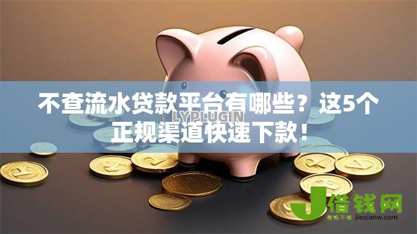 不查流水贷款平台有哪些?这5个正规渠道快速下款! 不查流水贷款平台有哪些?这5个正规渠道快速下款!