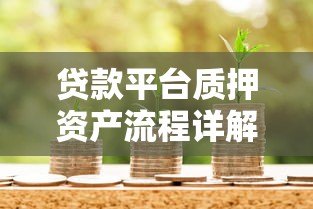 贷款平台质押资产流程详解与注意事项