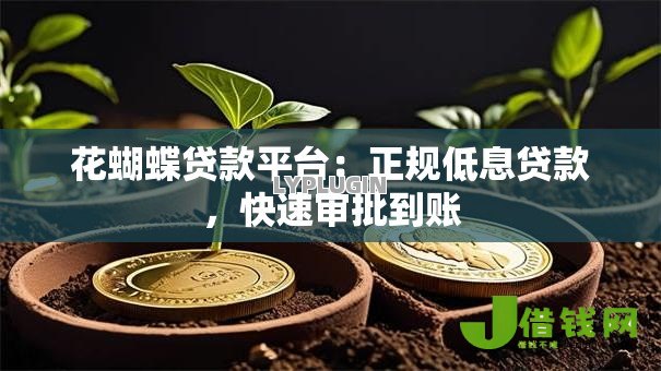 花蝴蝶贷款平台：正规低息贷款，快速审批到账