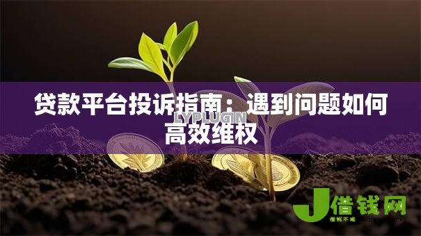 贷款平台投诉指南：遇到问题如何高效维权