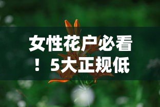 女性花户必看！5大正规低息贷款平台推荐（真实评测）