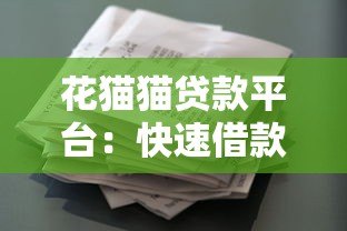 花猫猫贷款平台：快速借款指南与用户真实评价