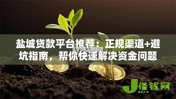 盐城贷款平台推荐:正规渠道+避坑指南,帮你快速解决资金问题 盐城贷款平台推荐:正规渠道+避坑指南,帮你快速解决资金问题