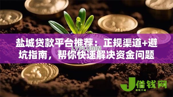 盐城贷款平台推荐:正规渠道+避坑指南,帮你快速解决资金问题 盐城贷款平台推荐:正规渠道+避坑指南,帮你快速解决资金问题