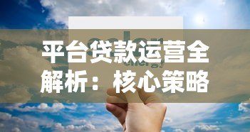 平台贷款运营全解析：核心策略与风险管控指南