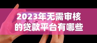 2023年无需审核的贷款平台有哪些？这5个正规渠道可试试