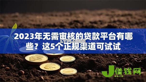 2023年无需审核的贷款平台有哪些？这5个正规渠道可试试