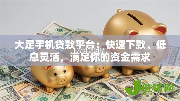 大足手机贷款平台:快速下款、低息灵活,满足你的资金需求 大足手机贷款平台:快速下款、低息灵活,满足你的资金需求
