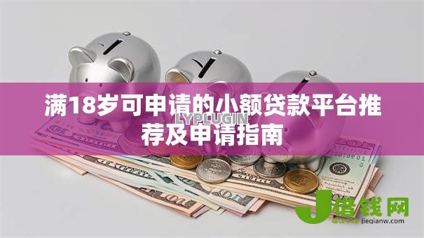 满18岁可申请的小额贷款平台推荐及申请指南