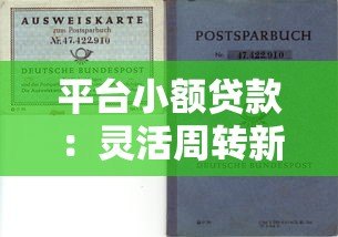 平台小额贷款：灵活周转新选择 快速解决资金需求