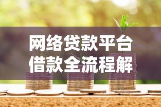网络贷款平台借款全流程解析及注意事项