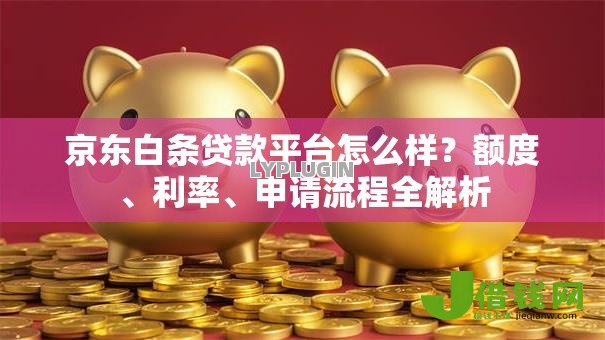 京东白条贷款平台怎么样？额度、利率、申请流程全解析