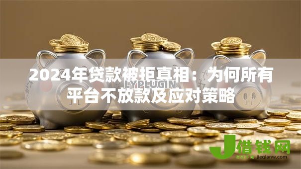 2024年贷款被拒真相：为何所有平台不放款及应对策略