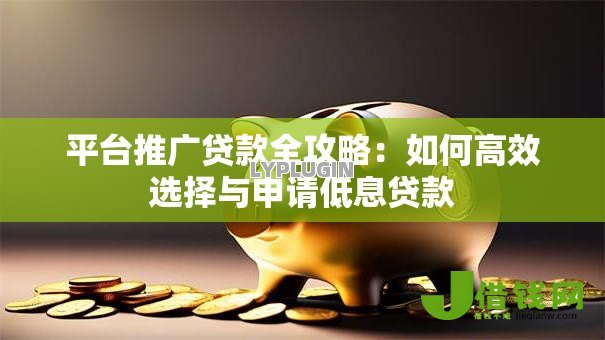 平台推广贷款全攻略：如何高效选择与申请低息贷款