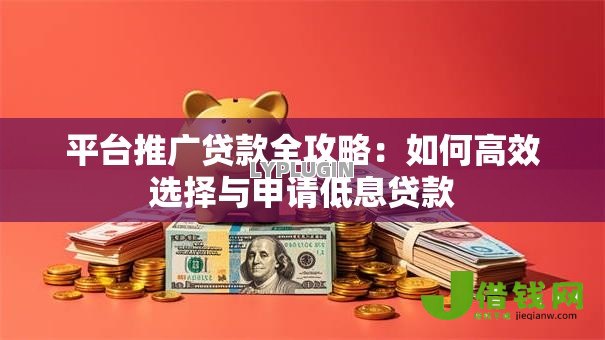 平台推广贷款全攻略：如何高效选择与申请低息贷款