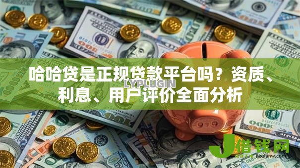 哈哈贷是正规贷款平台吗？资质、利息、用户评价全面分析