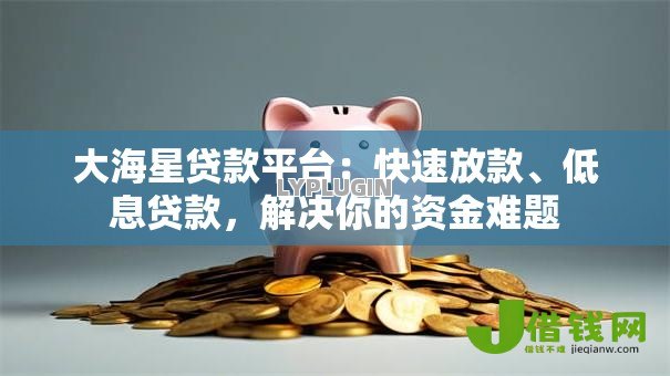 大海星贷款平台：快速放款、低息贷款，解决你的资金难题