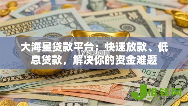 大海星贷款平台：快速放款、低息贷款，解决你的资金难题