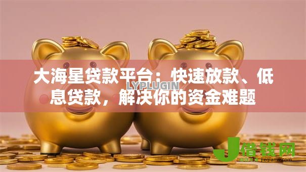 大海星贷款平台：快速放款、低息贷款，解决你的资金难题