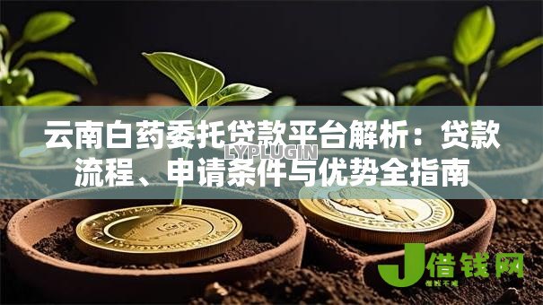 云南白药委托贷款平台解析：贷款流程、申请条件与优势全指南